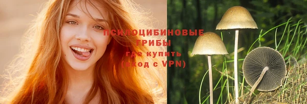 Альфа ПВП Беломорск