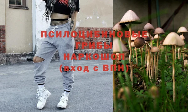 сатива Белоозёрский