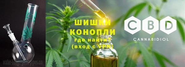 сатива Белоозёрский