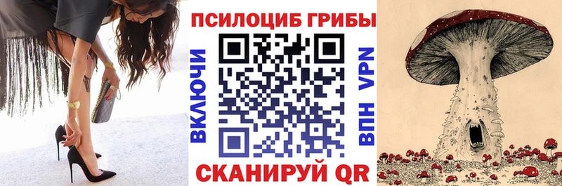 Купить закладки Воркута Псилоцибиновые грибы ЛСД